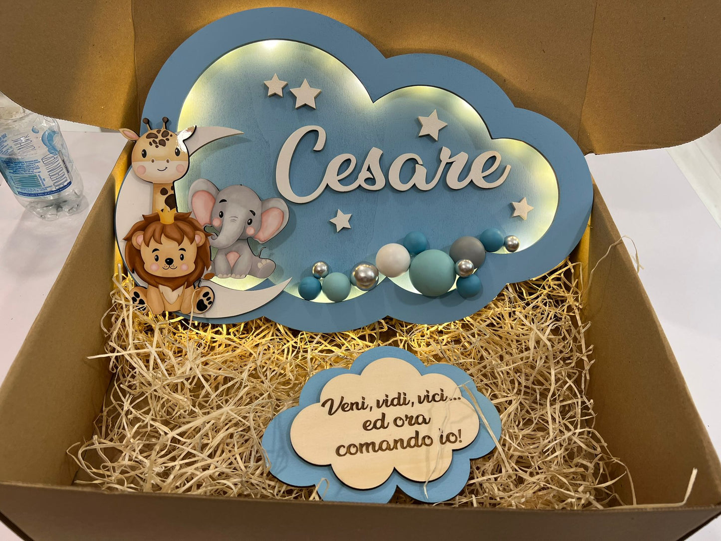 LAMPADA NUVOLA CELESTE ANIMALI IN LEGNO PERSONALIZZATA CON NOME E DEDICA